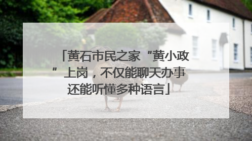 黄石市民之家“黄小政”上岗，不仅能聊天办事还能听懂多种语言