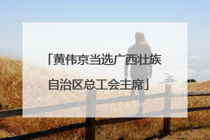 黄伟京当选广西壮族自治区总工会主席