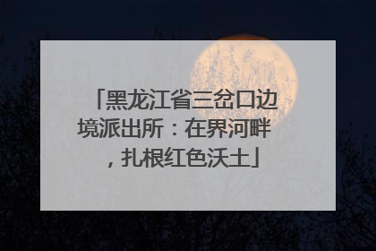 黑龙江省三岔口边境派出所：在界河畔，扎根红色沃土