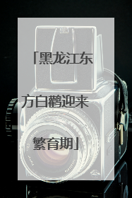 黑龙江东方白鹳迎来繁育期