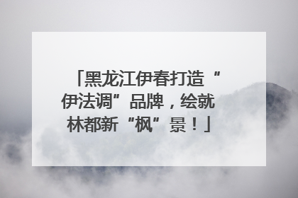 黑龙江伊春打造“伊法调”品牌，绘就林都新“枫”景！