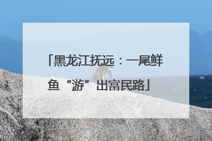 黑龙江抚远：一尾鲜鱼“游”出富民路