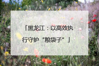 黑龙江：以高效执行守护“粮袋子”