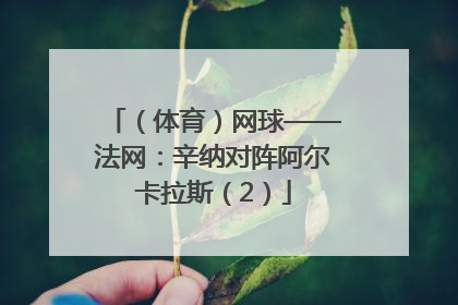 （体育）网球——法网：辛纳对阵阿尔卡拉斯（2）