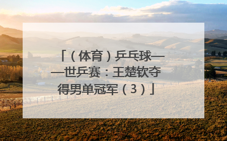 （体育）乒乓球——世乒赛：王楚钦夺得男单冠军（3）