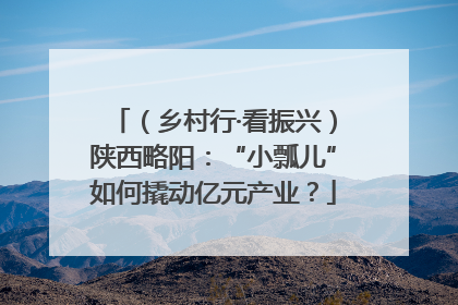 （乡村行·看振兴）陕西略阳：“小瓢儿”如何撬动亿元产业？