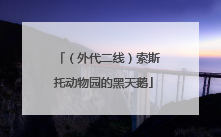 （外代二线）索斯托动物园的黑天鹅