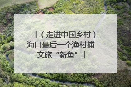 （走进中国乡村）海口最后一个渔村捕文旅“新鱼”