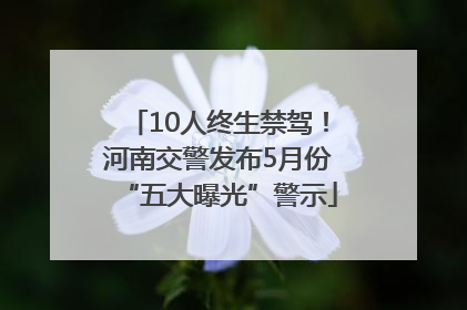 10人终生禁驾！河南交警发布5月份“五大曝光”警示