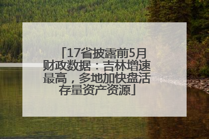17省披露前5月财政数据：吉林增速最高，多地加快盘活存量资产资源