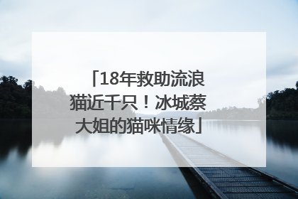 18年救助流浪猫近千只！冰城蔡大姐的猫咪情缘