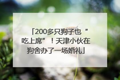 200多只狗子也“吃上席”！天津小伙在狗舍办了一场婚礼