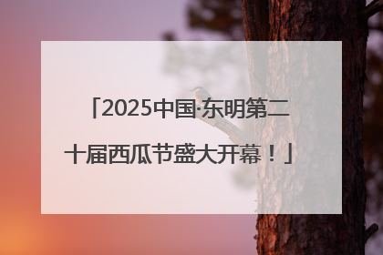 2025中国·东明第二十届西瓜节盛大开幕！