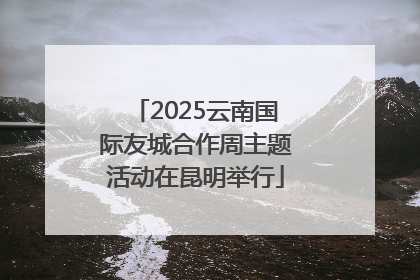 2025云南国际友城合作周主题活动在昆明举行