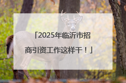 2025年临沂市招商引资工作这样干！