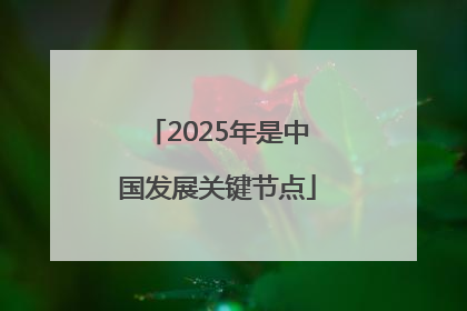 2025年是中国发展关键节点