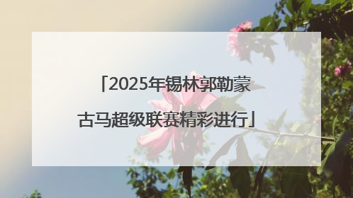 2025年锡林郭勒蒙古马超级联赛精彩进行