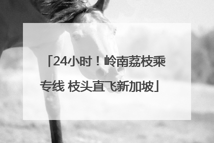 24小时！岭南荔枝乘专线 枝头直飞新加坡