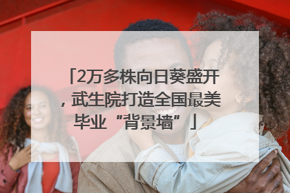 2万多株向日葵盛开，武生院打造全国最美毕业“背景墙”