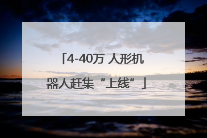 4-40万 人形机器人赶集“上线”