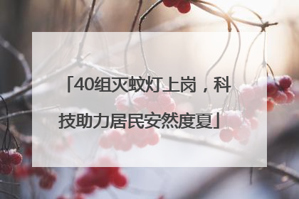 40组灭蚊灯上岗，科技助力居民安然度夏