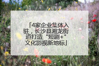 4家企业集体入驻，长沙县湘龙街道打造“短剧+”文化影视新地标