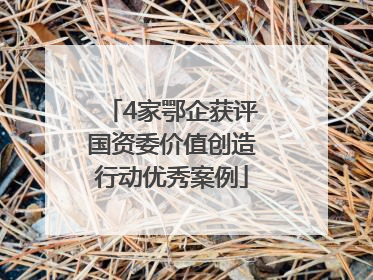 4家鄂企获评国资委价值创造行动优秀案例