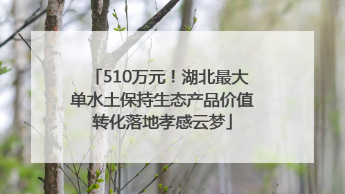 510万元！湖北最大单水土保持生态产品价值转化落地孝感云梦