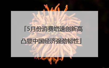 5月份消费增速创新高 凸显中国经济强劲韧性