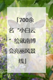 700余名“小白云”绘就南博会亮丽风景线