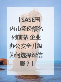 SASE国内市场份额名列前茅 企业办公安全升级为何选择深信服？